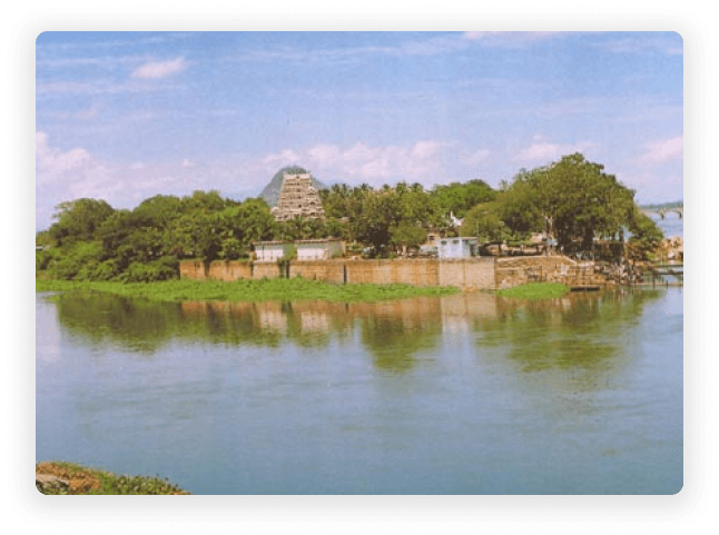 A peaceful riverside view surrounded by lush greenery near Koli Hills, showing the calm setting visitors enjoy