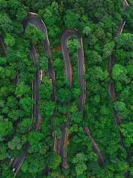 Serene forest landscape with a paved road curving through hills, surrounded by dense green trees.