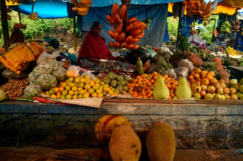 A vibrant local market selling fresh forest fruits and produce, with vendors and colorful displays.