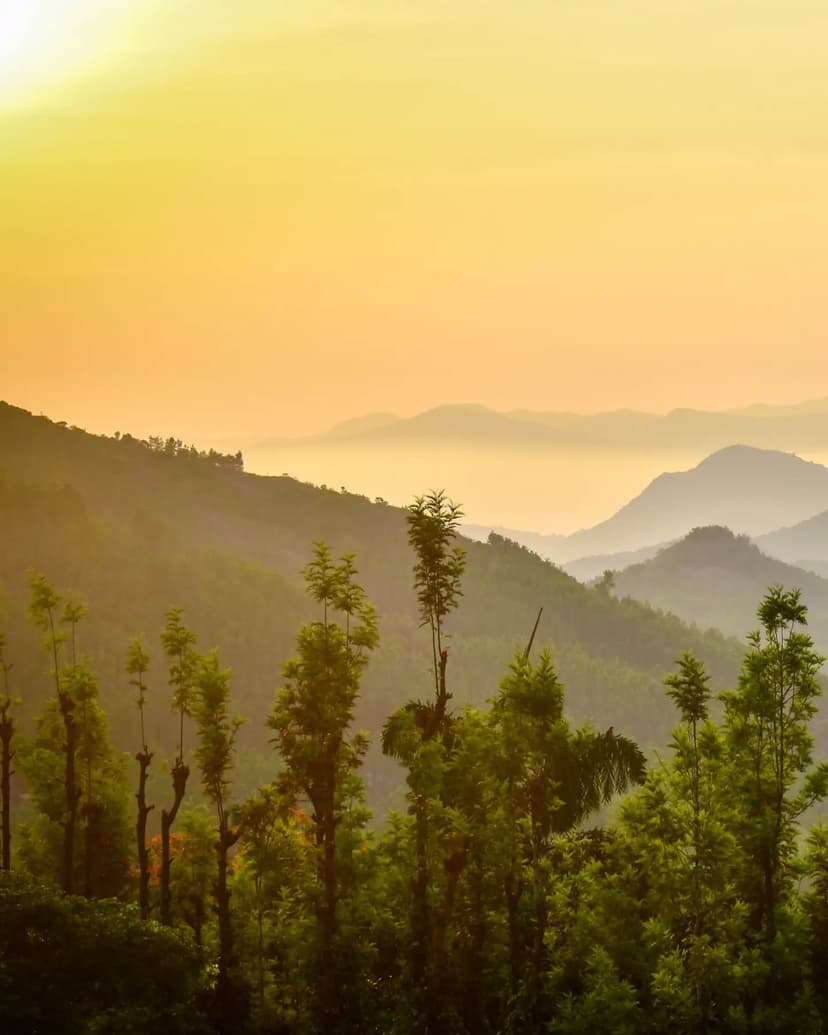 Soft golden sunlight spreads across layered hill ranges with lush greenery, creating a calm sunrise viewpoint.