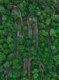 Winding Hill Roads Through Lush Green Forest Landscapes Serene forest landscape with a paved road curving through hills, surrounded by dense green trees.