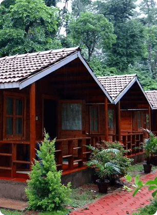 Budget Wooden Cottages Stay Amid Lush Green Surroundings Simple wooden cottages surrounded by greenery suitable for beginners travelers and road trip stays