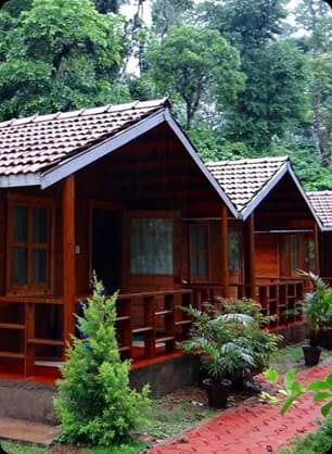 Budget Wooden Cottages Stay Amid Lush Green Surroundings Simple wooden cottages surrounded by greenery suitable for beginners travelers and road trip stays